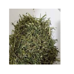 Bhunimba-Kalamegha-भोईनीम्ब-कालमेघ/Pure Herb/JadiButi