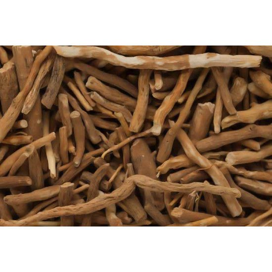 DudhKaadi - दूध काडी/Pure Herb/JadiButi DudhKaadi - दूध काडी/Pure Herb/JadiButi