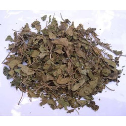 Gudmar Leaves - गुडमार पत्ती/Pure Herb/JadiButi