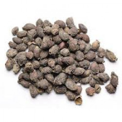 Jamun Seeds-जामून बीज-जांभूळ बी/Pure Herb/JadiButi
