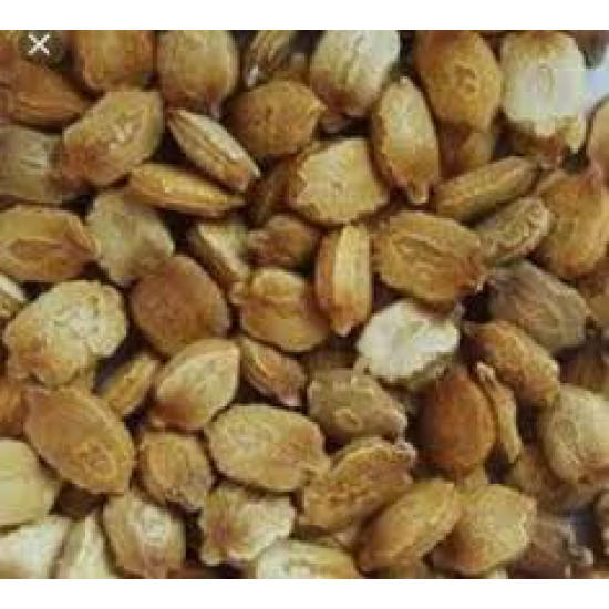 Karela Seeds-करेला बीज - कारले बी /Pure Herb/JadiButi