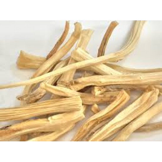 Shatavari-शतावरी/Pure Herb/JadiButi Shatavari-शतावरी/Pure Herb/JadiButi