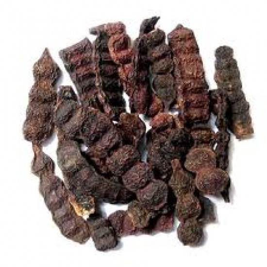 Shikakai Falli-शिककाई /Pure Herb/JadiButi Shikakai Falli-शिककाई /Pure Herb/JadiButi