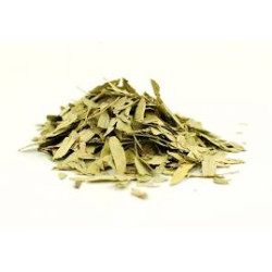 Sonamukhi Leaves-Patta-सोनामुखी पत्ता-सोनामुखी /Pure Herb/JadiButi
