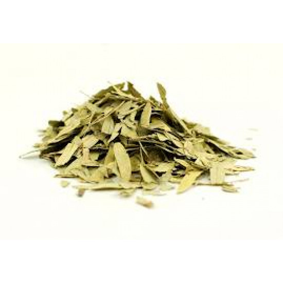 Sonamukhi Leaves-Patta-सोनामुखी पत्ता-सोनामुखी /Pure Herb/JadiButi Sonamukhi Leaves-Patta-सोनामुखी पत्ता-सोनामुखी /Pure Herb/JadiButi