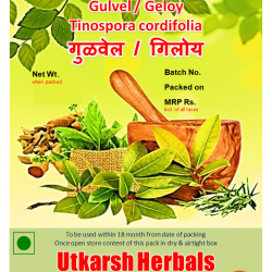 Gulvel/Geloy Powder-Churna - गुळवेल/गिलोय Tinospora cordifolia/Pure Single Herb Powder