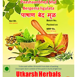 Pashan bed Mul Powder-Churna - पाषाण बेद मूळ Bergenia ligulata/Pure Single Herb Powder